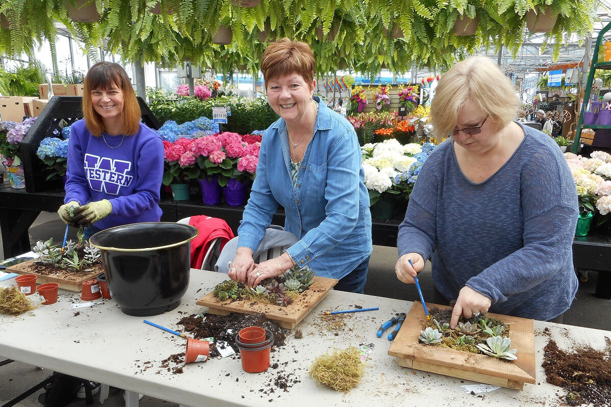 3 ladies making window planters in a greenhouse
