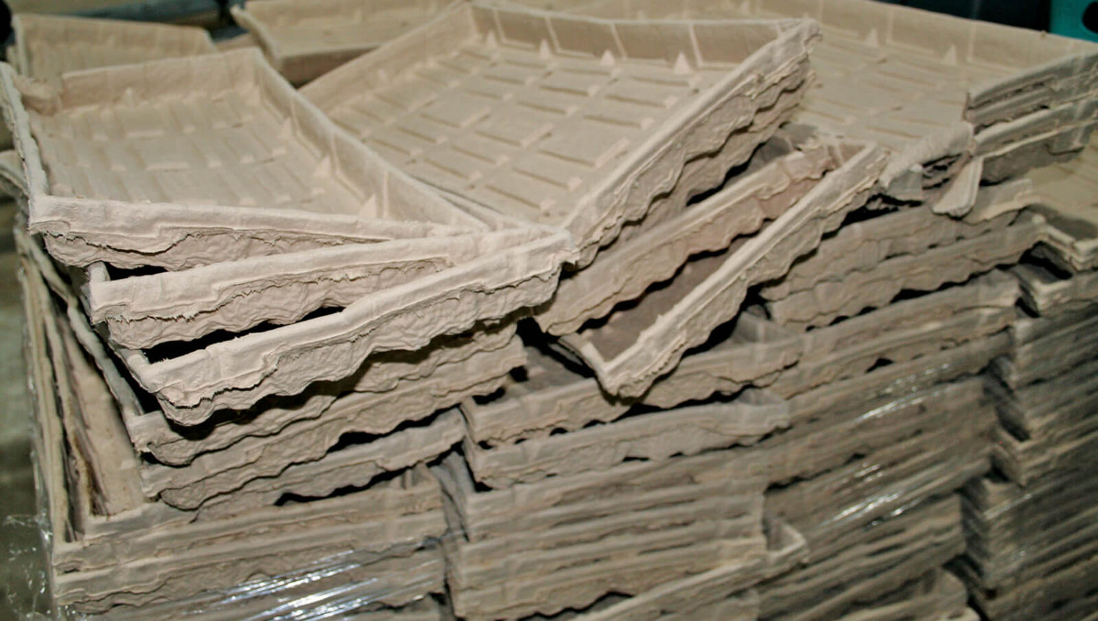 huge pile of used fibre flats to hold small plant pots