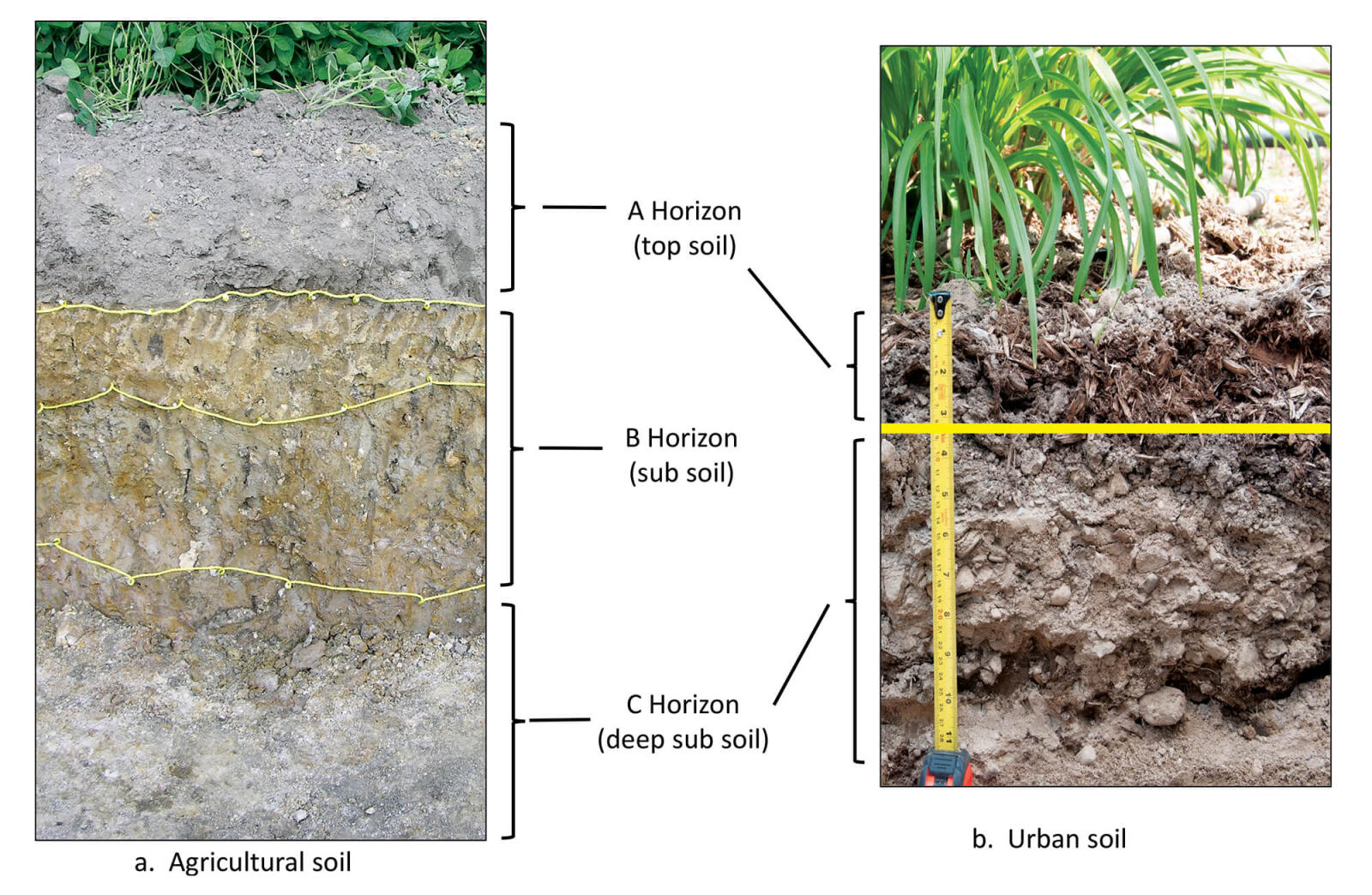 chart showing various subsoils