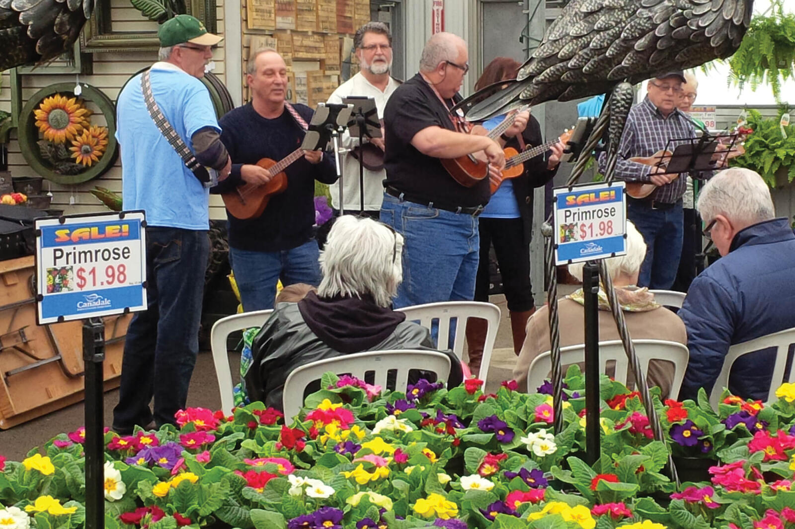 musicians playing in a greenhouse full of colourful plants