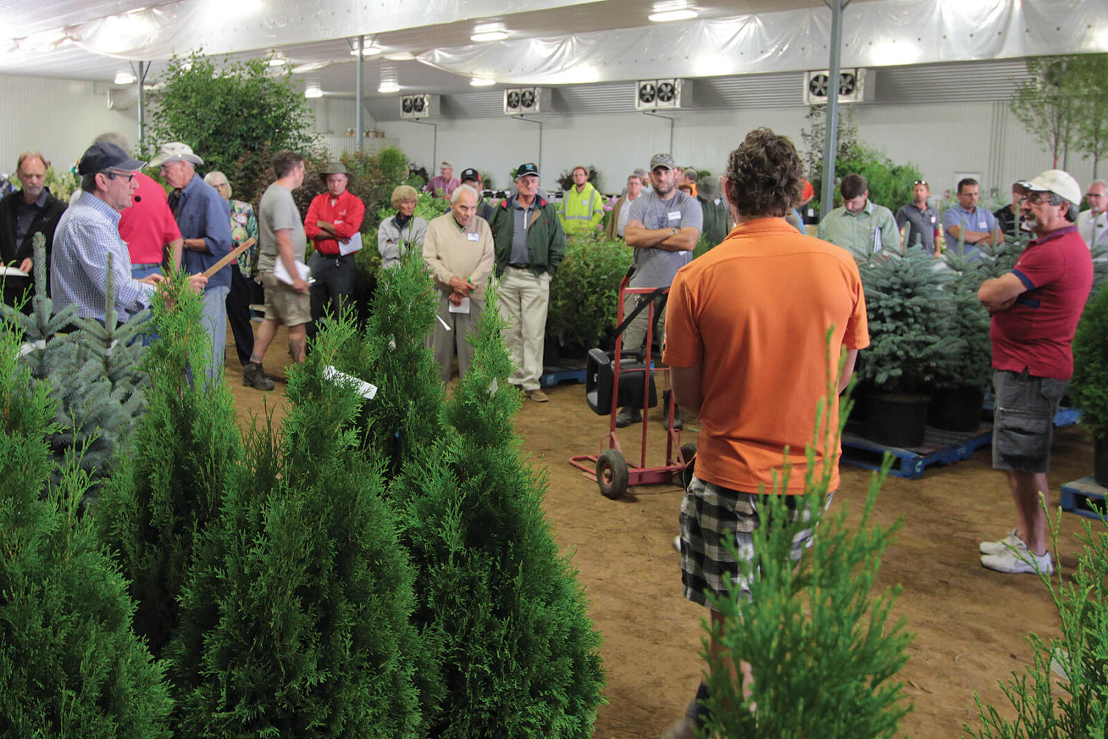 live plant auction