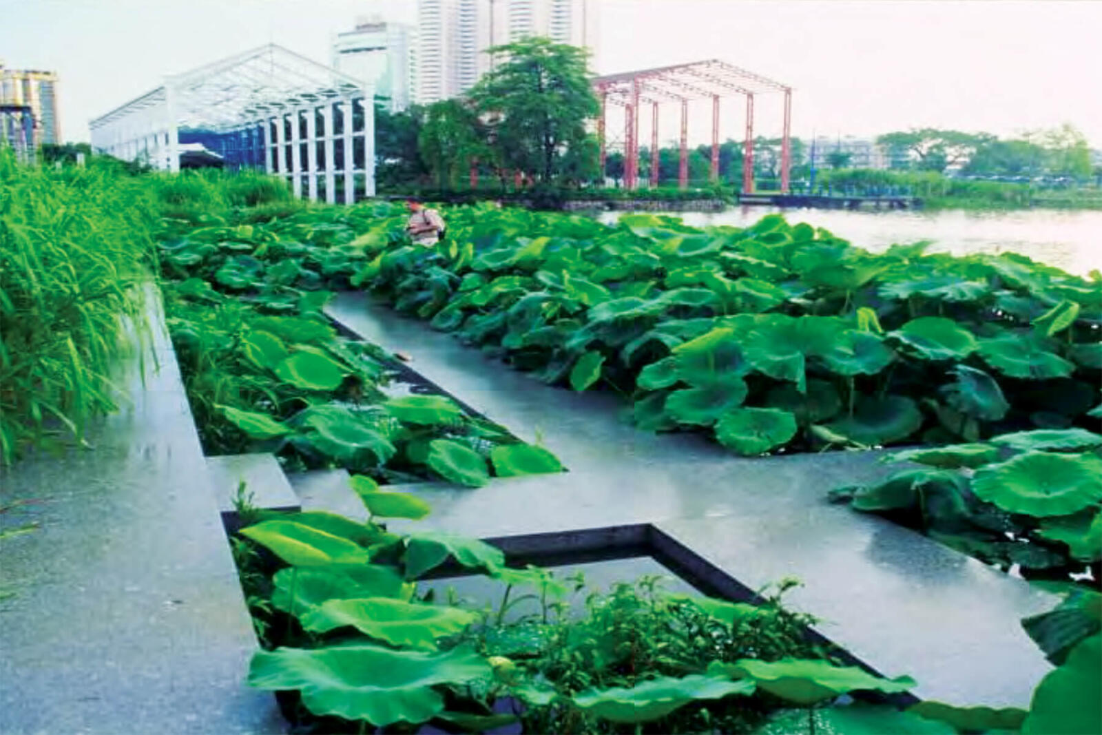 a park in peking