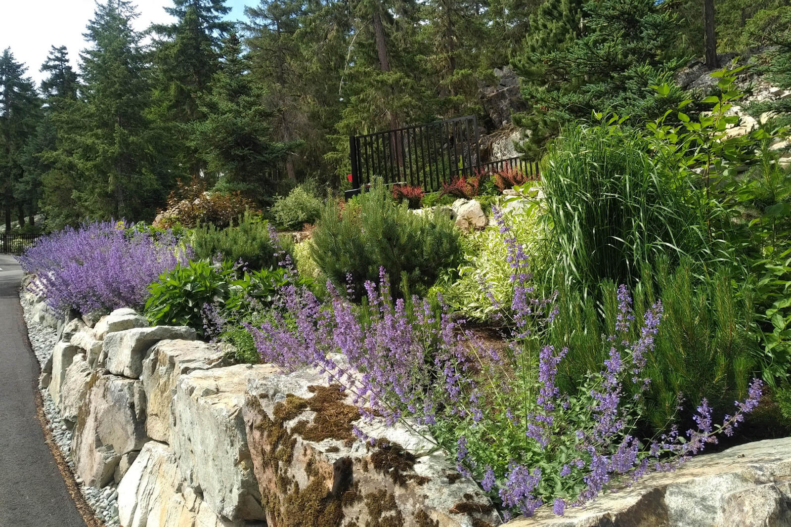 a natural looking garden