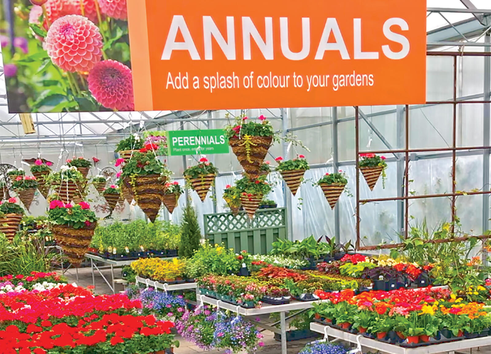 garden centre