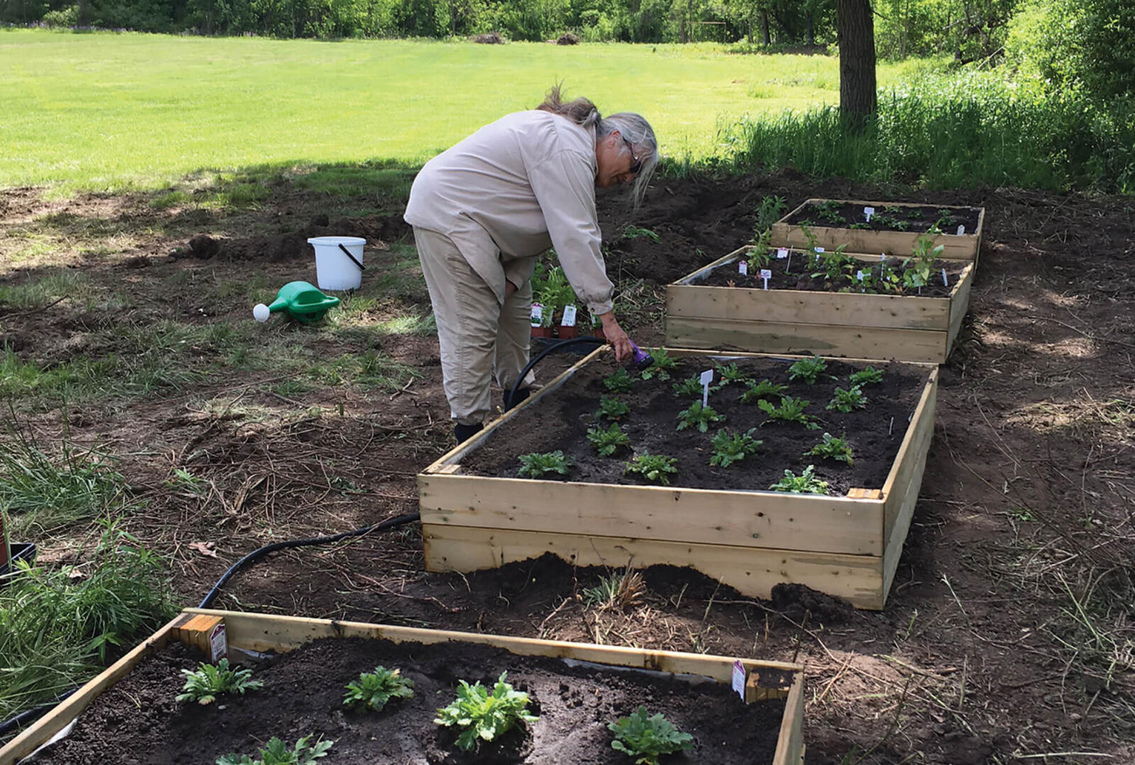 person gardening