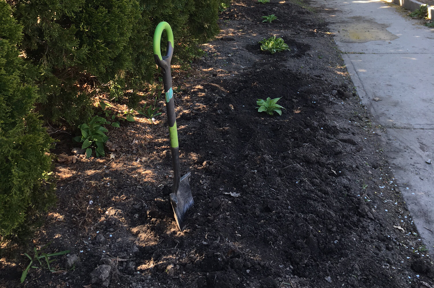 community garden