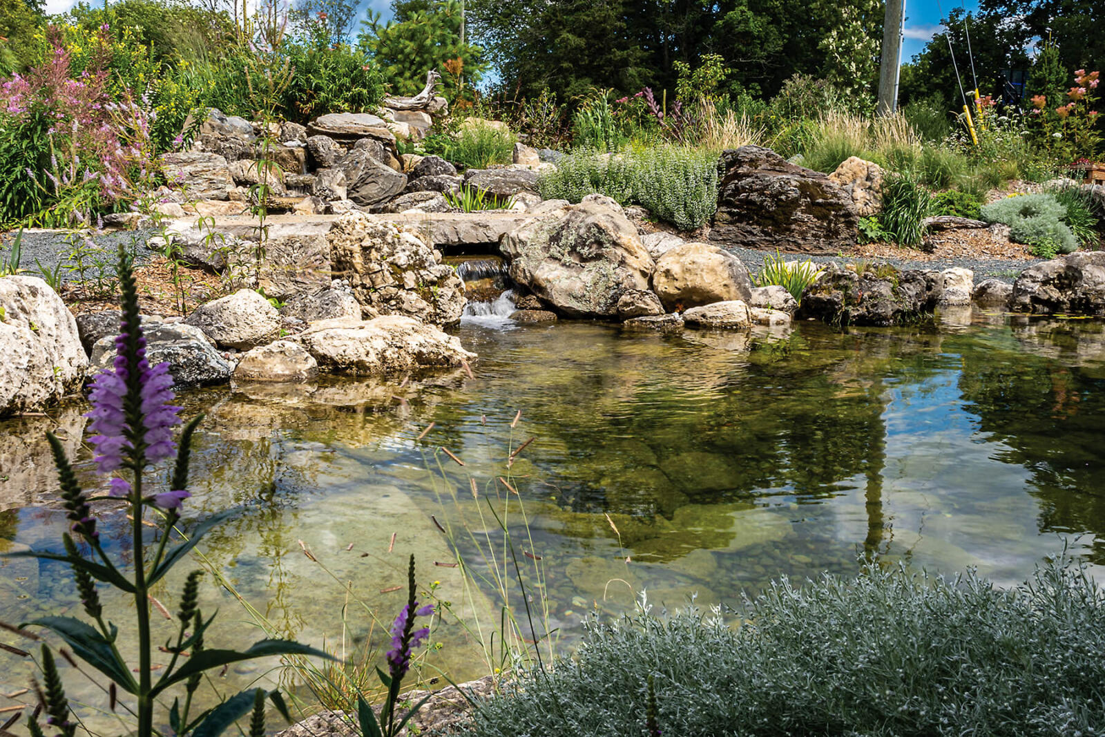pond