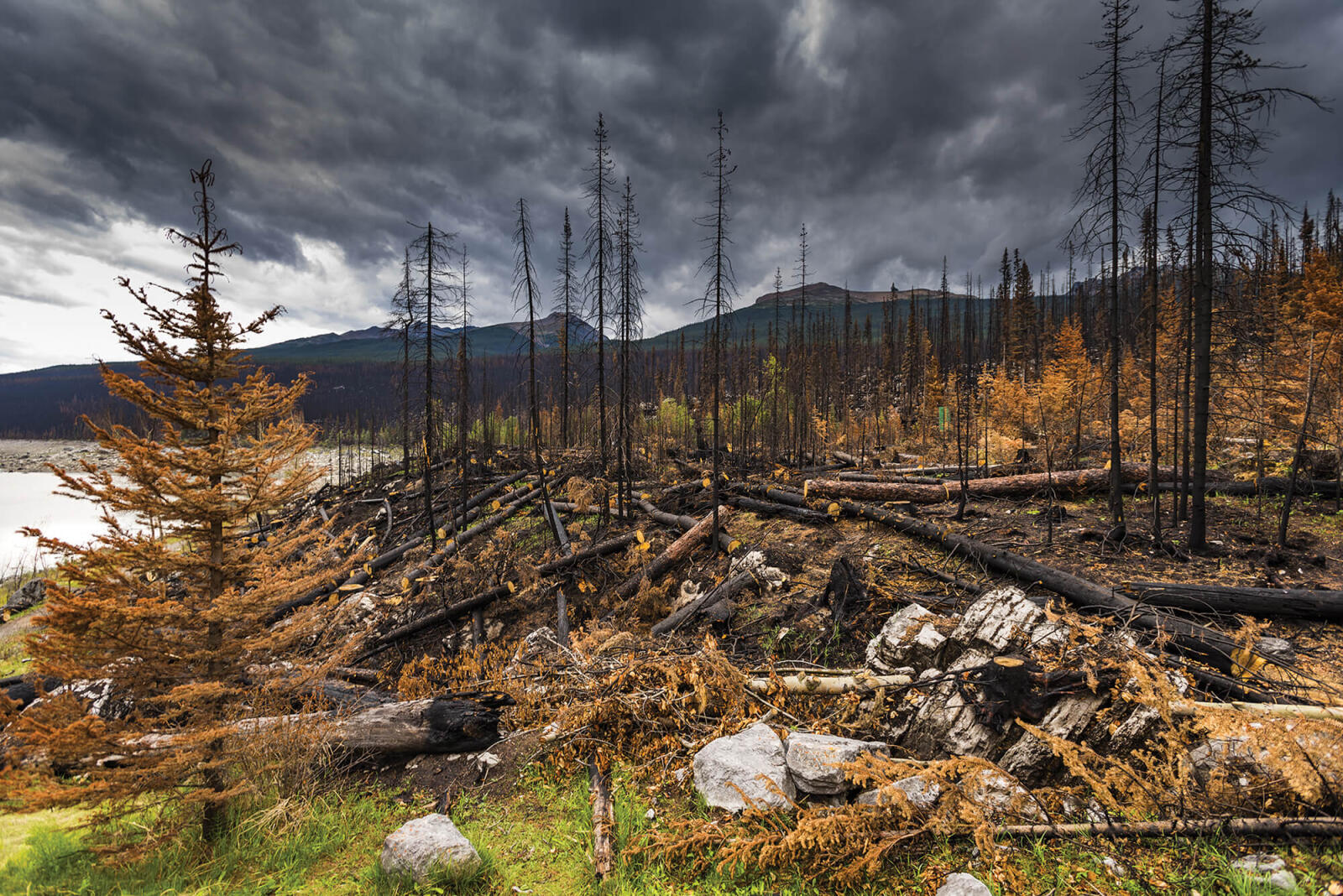 Wildfire in Kelowna