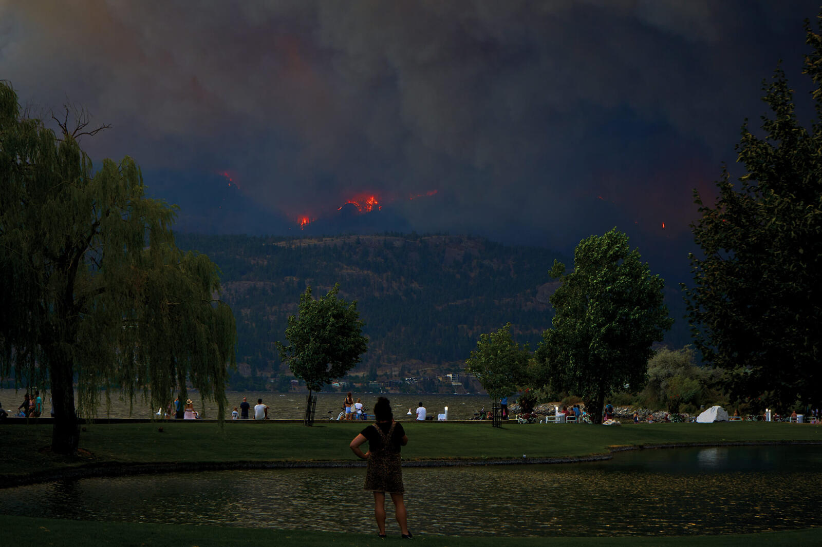 Wildfire in Kelowna