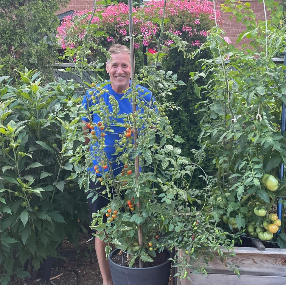 man in a garden
