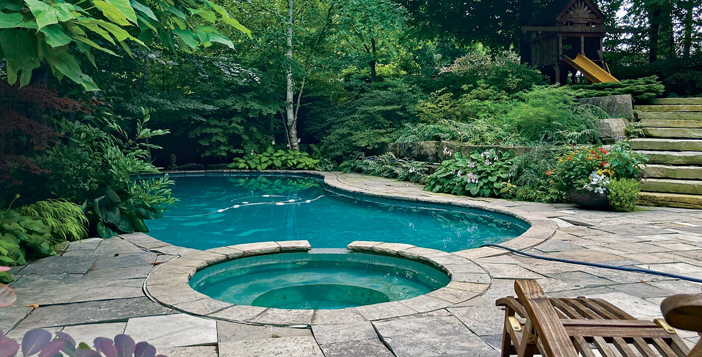 backyard landscape