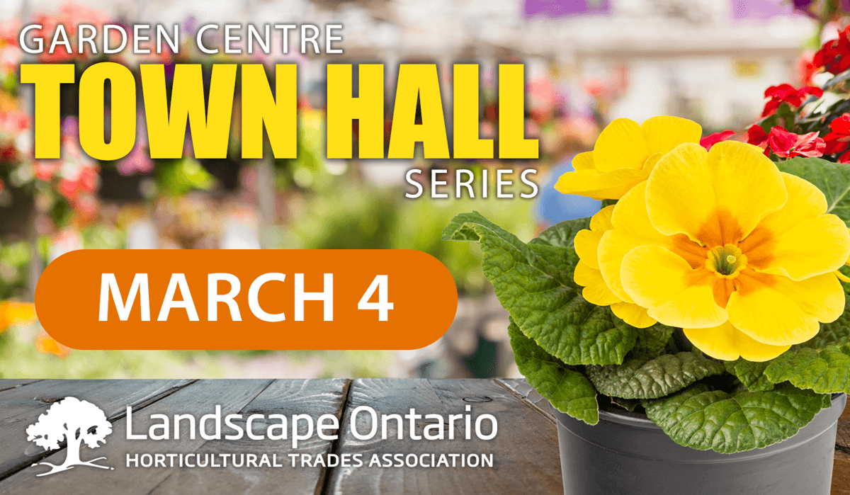town hall graphic