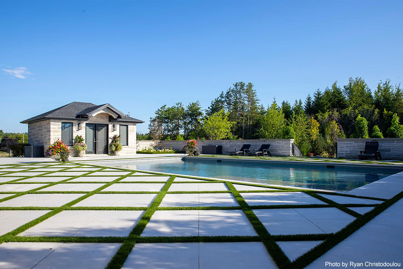 backyard landscape